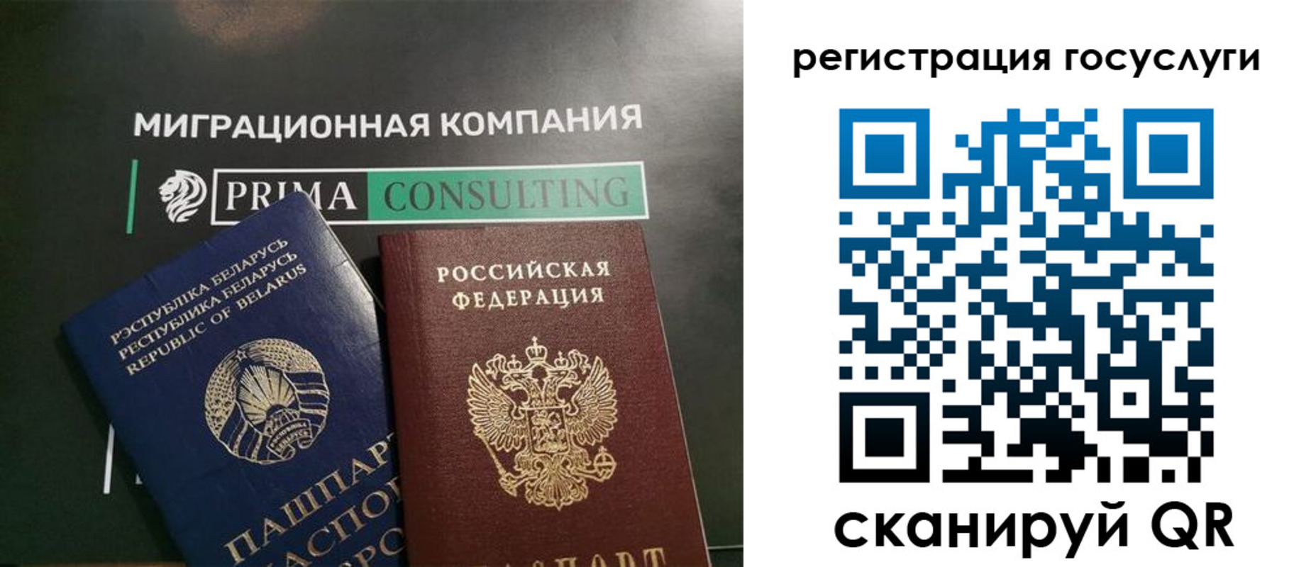 прописка гарантия в Королёве